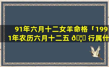 91年六月十二女羊命格「1991年农历六月十二五 🦋 行属什么」